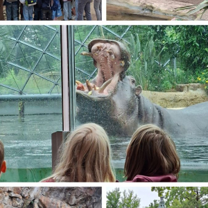 3b im Zoo