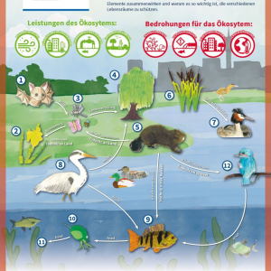 Layout_Schul-Schild_01.12