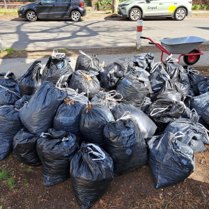 Ergebnis Frühjahrsputz rund 50 -60 Müllsacke warten auf Abholung durch die BSR