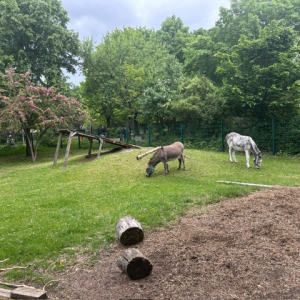 Impressionen vm Kinderbauernhof