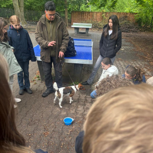Tierbesuch an der Schule während des Projektes Tierisch gut